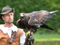 Steinadler 094